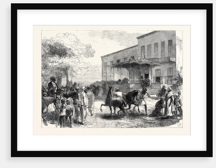 The Abyssinian Expedition: Transport Officers Buying Mules Opposite Shepheard's Hotel Cairo Egypt 1867 by Anonymous