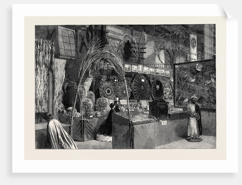 The International Exhibition: British Guiana and Barbadoes Courts 1862 by Anonymous