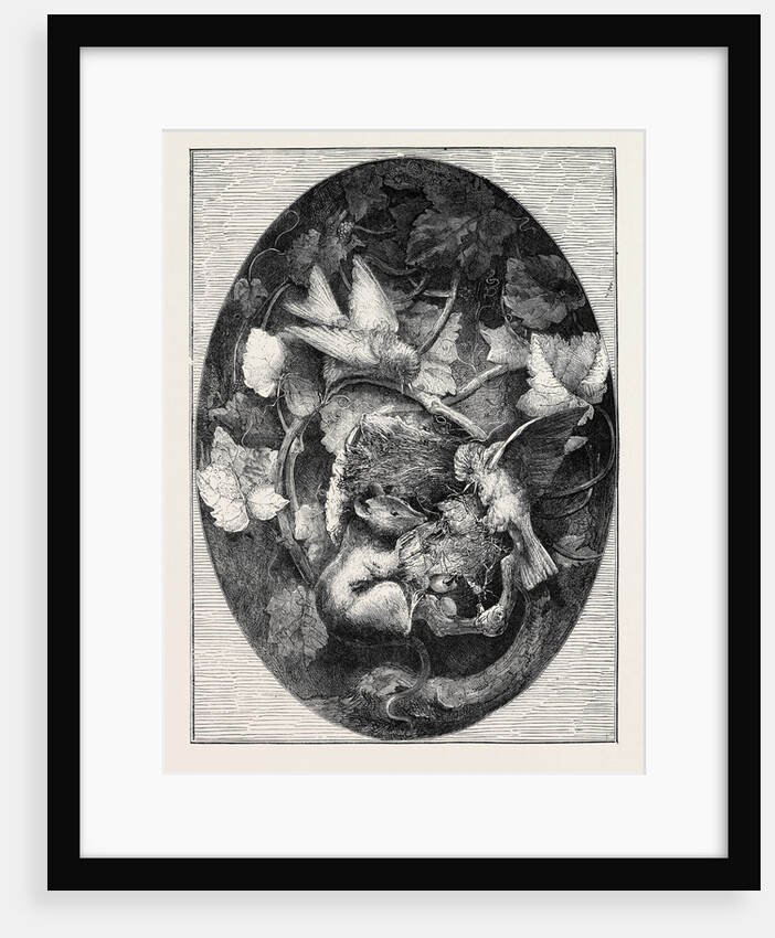 The International Exhibition: Linnets Defending Their Nest against a Dormouse, Modelled in Wax, 1862 by Anonymous