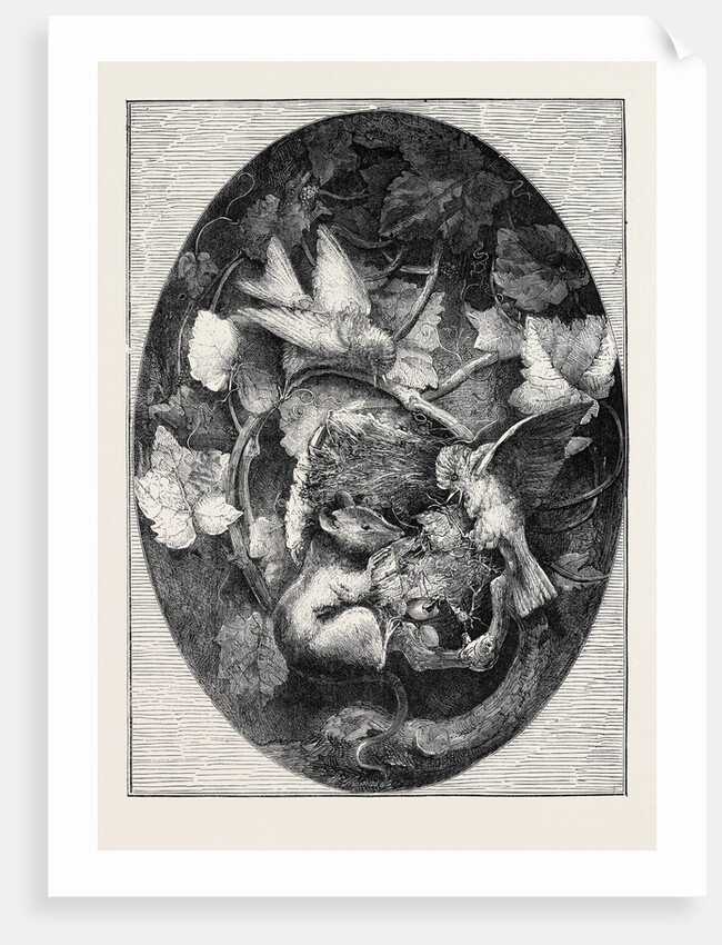 The International Exhibition: Linnets Defending Their Nest against a Dormouse, Modelled in Wax, 1862 by Anonymous