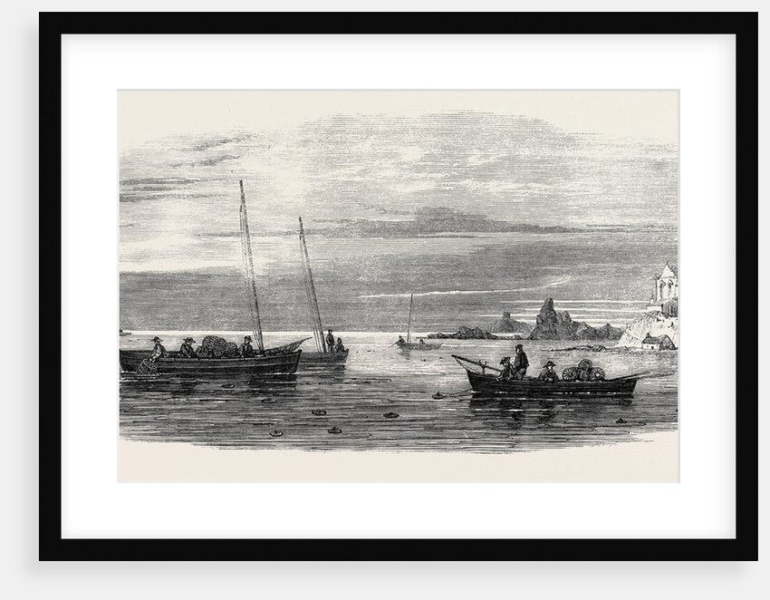 The Shellfish Supplies: Crab Fishing Off Fife Coast 1862 by Anonymous