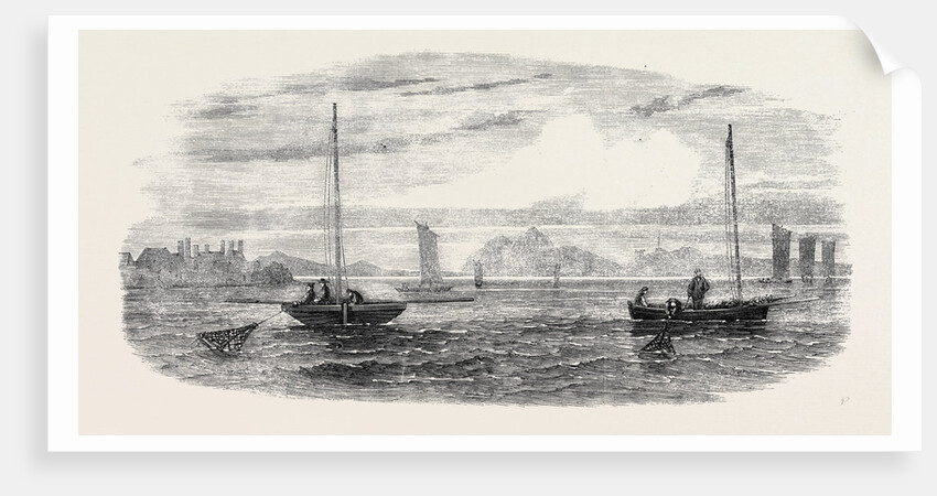 The Shellfish Supplies: Oyster-Boats Dredging Off Prestonpans 1862 by Anonymous