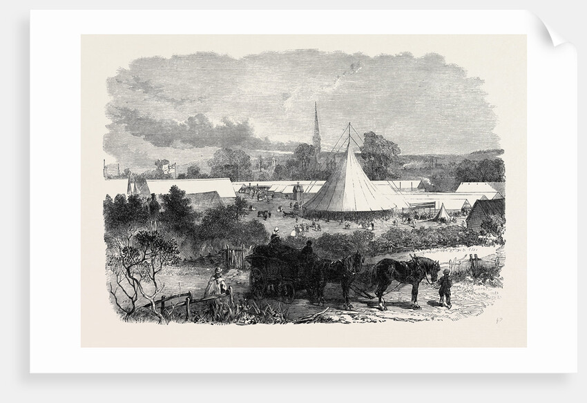 Bath and West of England Agricultural Society's Meeting at Salisbury: The Show Yard UK 1866 by Anonymous