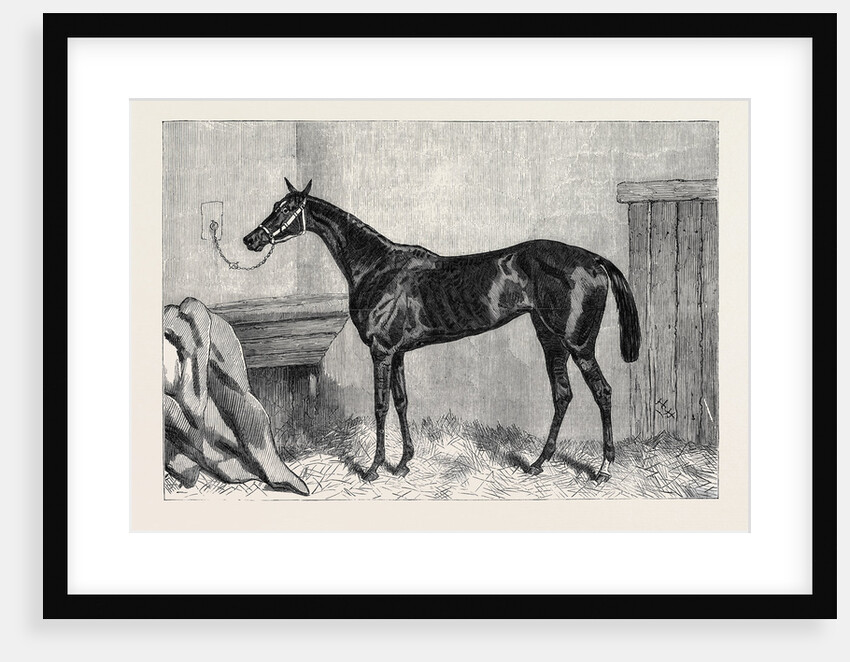 Tormentor the Winner of the Oaks 1866 by Anonymous