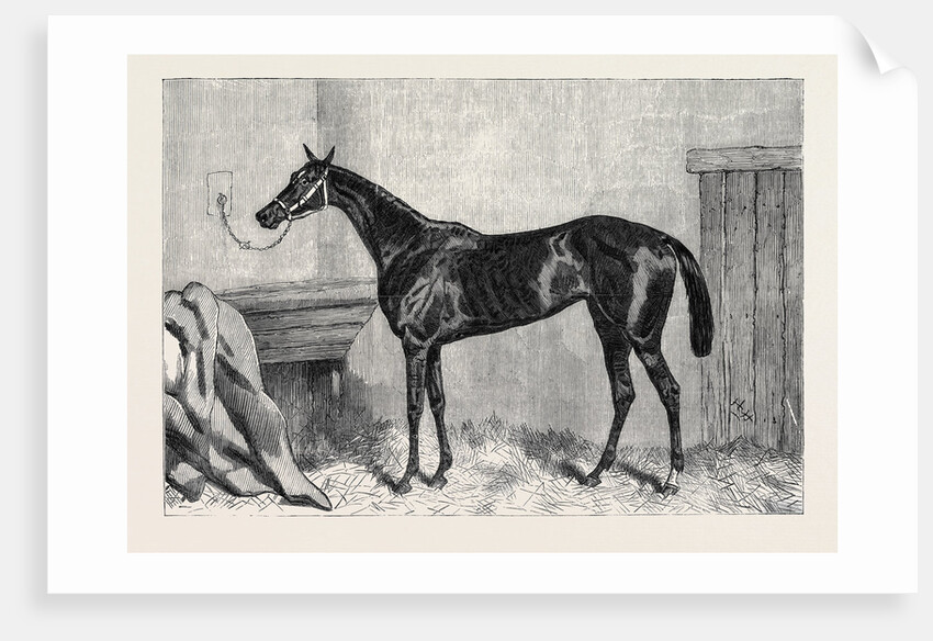 Tormentor the Winner of the Oaks 1866 by Anonymous