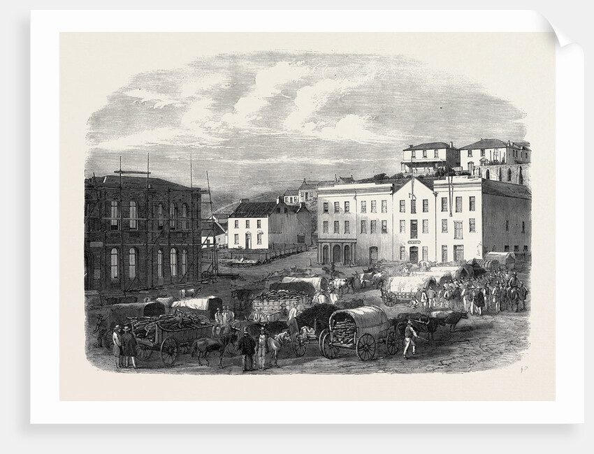 Morning Market at Port Elizabeth 1866 by Anonymous