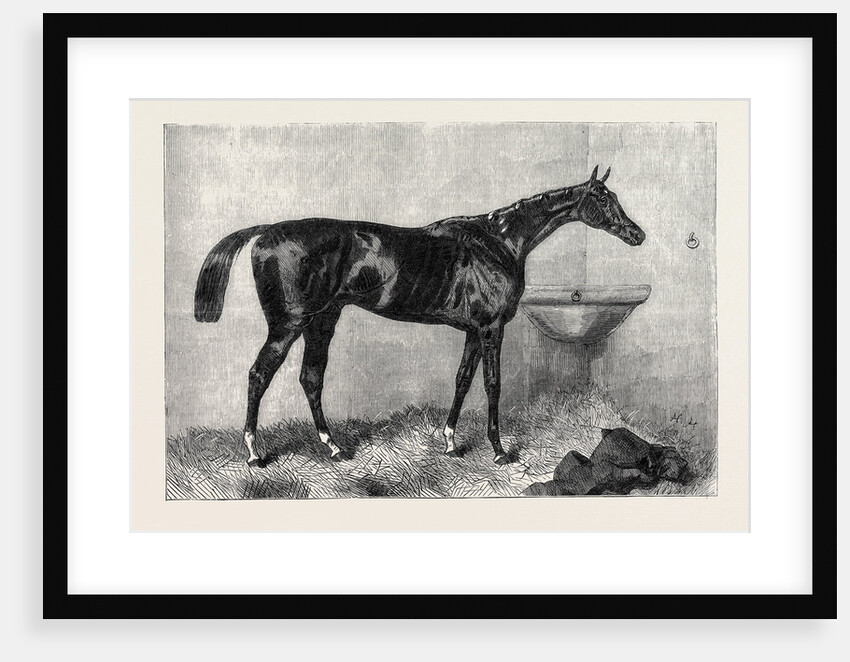 Mr. R. Sutton's Lord Lyon Winner of the Two Thousand Guinea Stakes at Newmarket UK 1866 by Anonymous