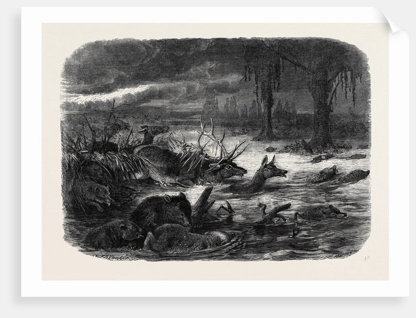 Animals Taking Refuge from a Prairie Fire by Anonymous