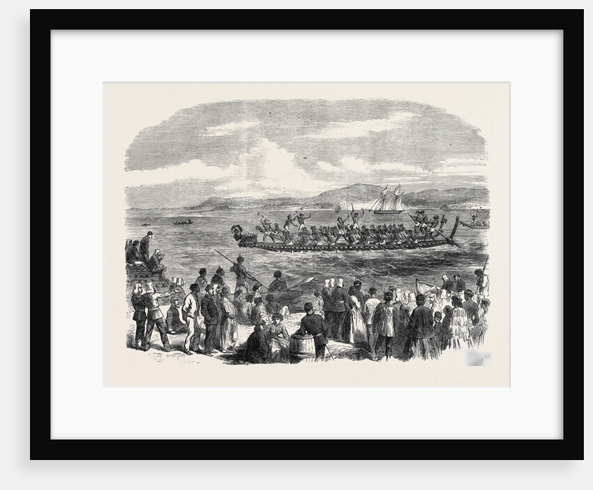 Native Games at Te Papa Camp Tauranga New Zealand: War Canoes Competing for Prizes 1866 by Anonymous