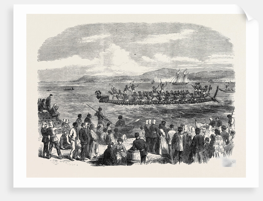 Native Games at Te Papa Camp Tauranga New Zealand: War Canoes Competing for Prizes 1866 by Anonymous