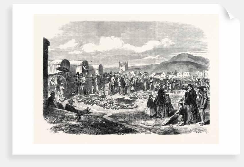 Ivory and Skins for Sale in the Grahamstown Market Cape Colony 1866 by Anonymous