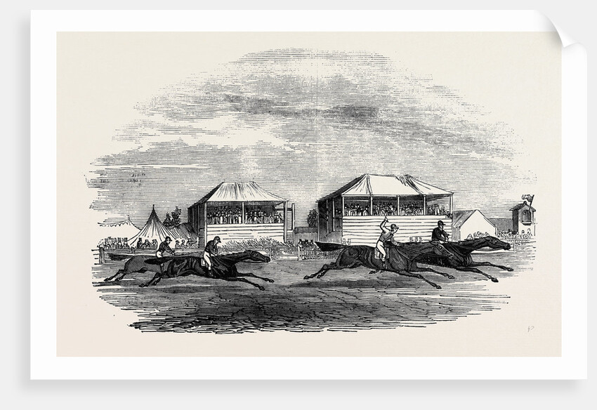 Croxton Park Races, the Race by Anonymous