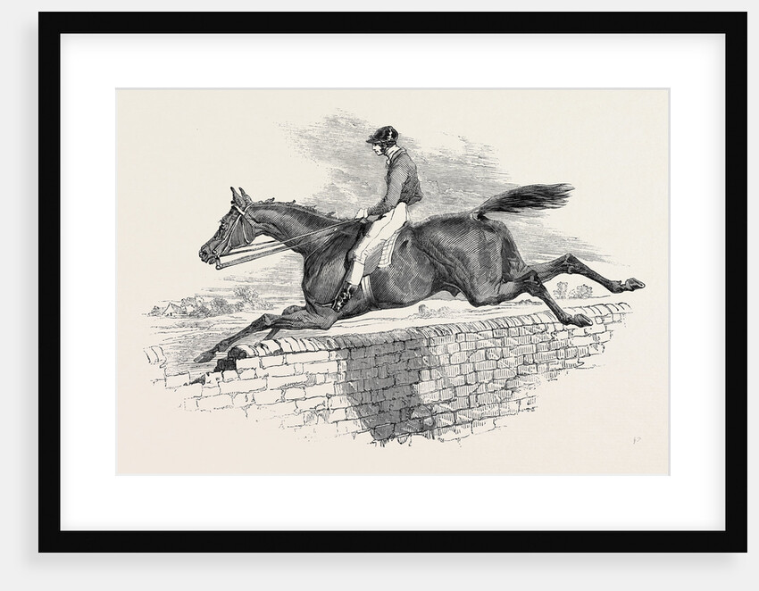 Lottery, the Celebrated Steeple Chase Winner. by Anonymous