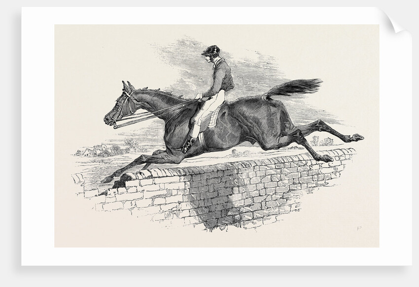 Lottery, the Celebrated Steeple Chase Winner. by Anonymous