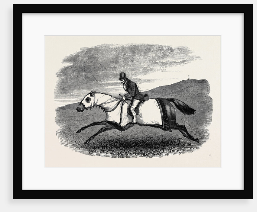 Horse Training. by Anonymous