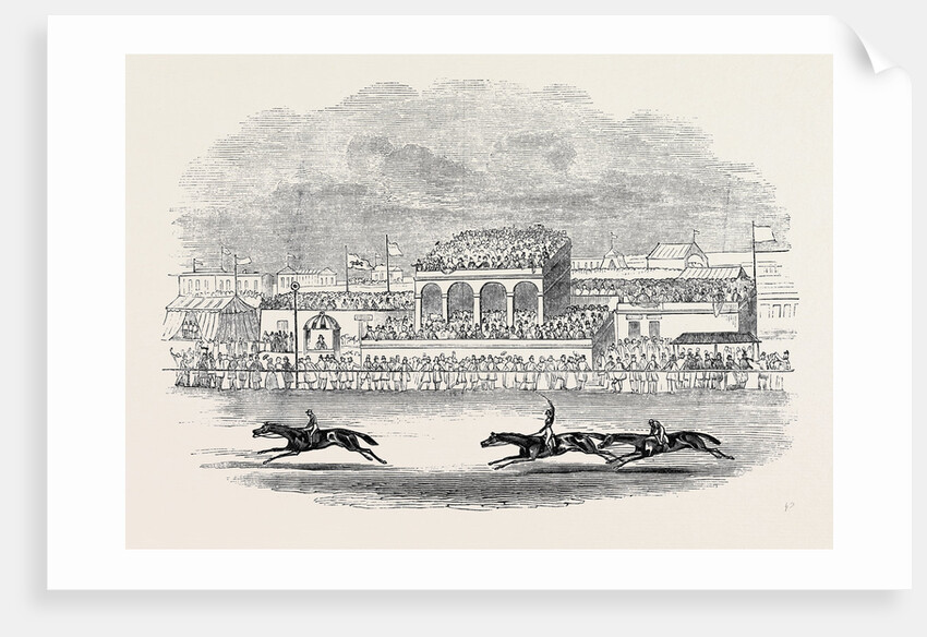 Chester Races, Red Deer Winning the Chester Cup, from a Sketch Made on the Spot by Anonymous