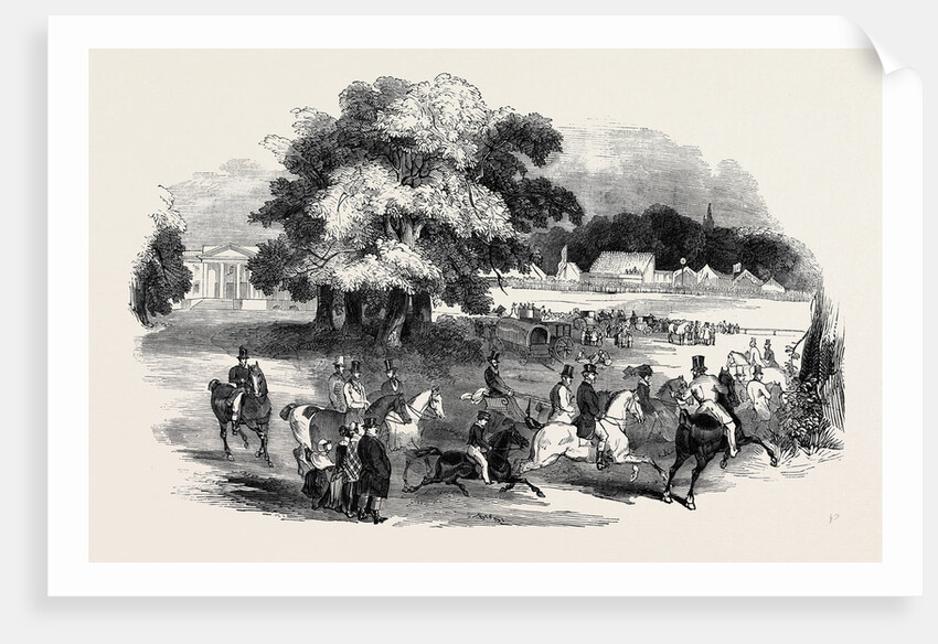Gorhambury Races, from a Sketch in the Park by Anonymous