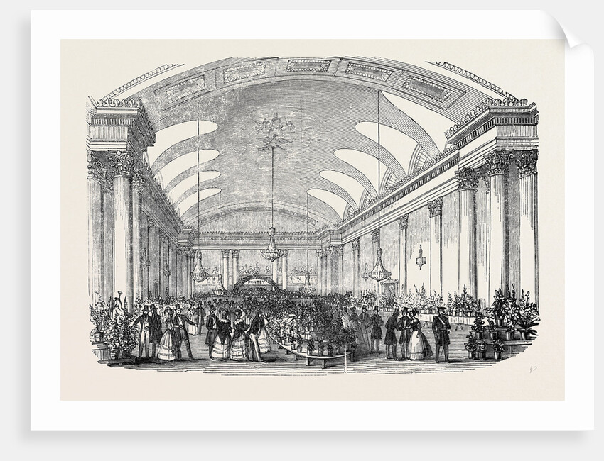 The Royal Devon and Cornwall Botanical and Horticultural Society's Show, Assembly Room, Plymouth. by Anonymous