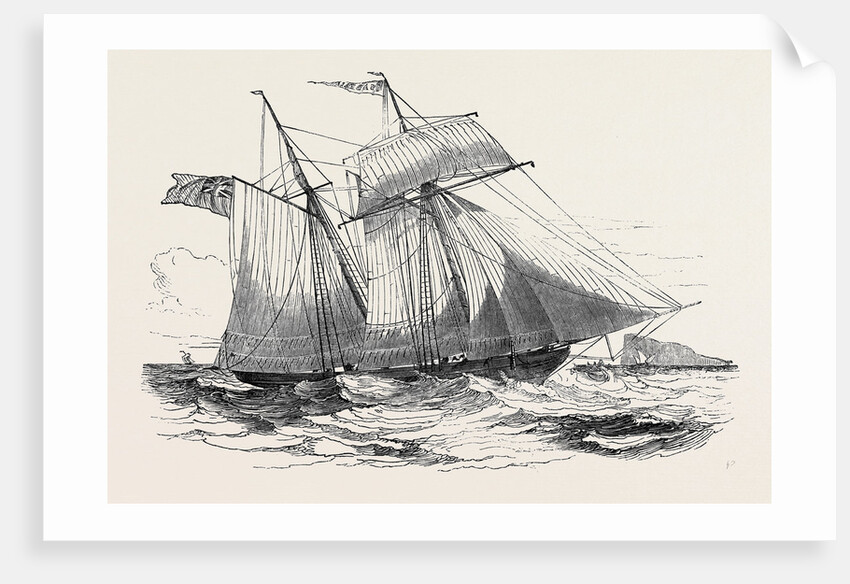 Fruit Schooner. by Anonymous