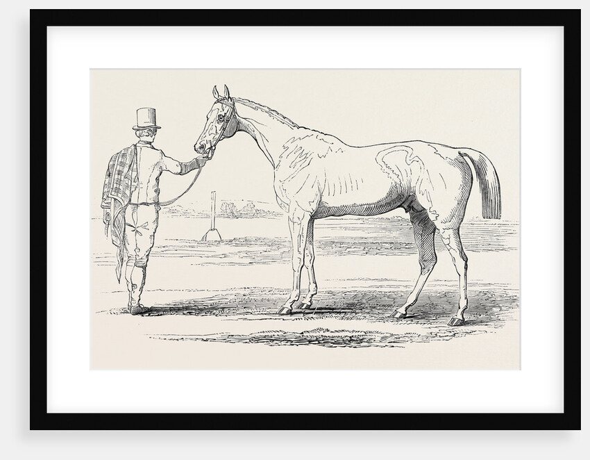 Colonel Peel's Orlando, the Winner of the Derby. by Anonymous