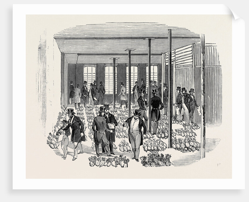 Sale of West India Pine Apples. by Anonymous