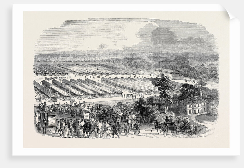 The Cattle Show, Portswood. by Anonymous