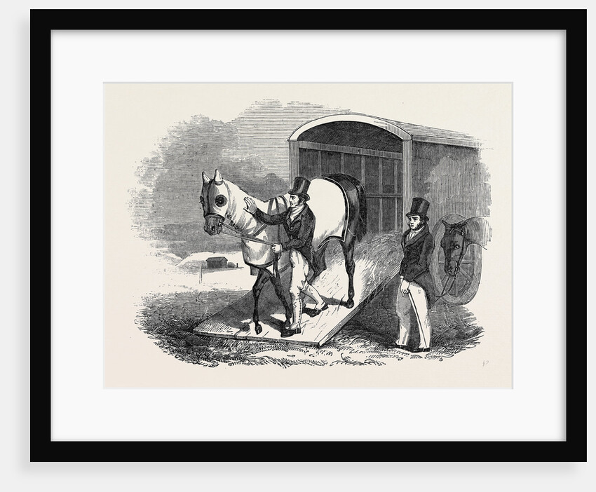 Race-Horse Van by Anonymous
