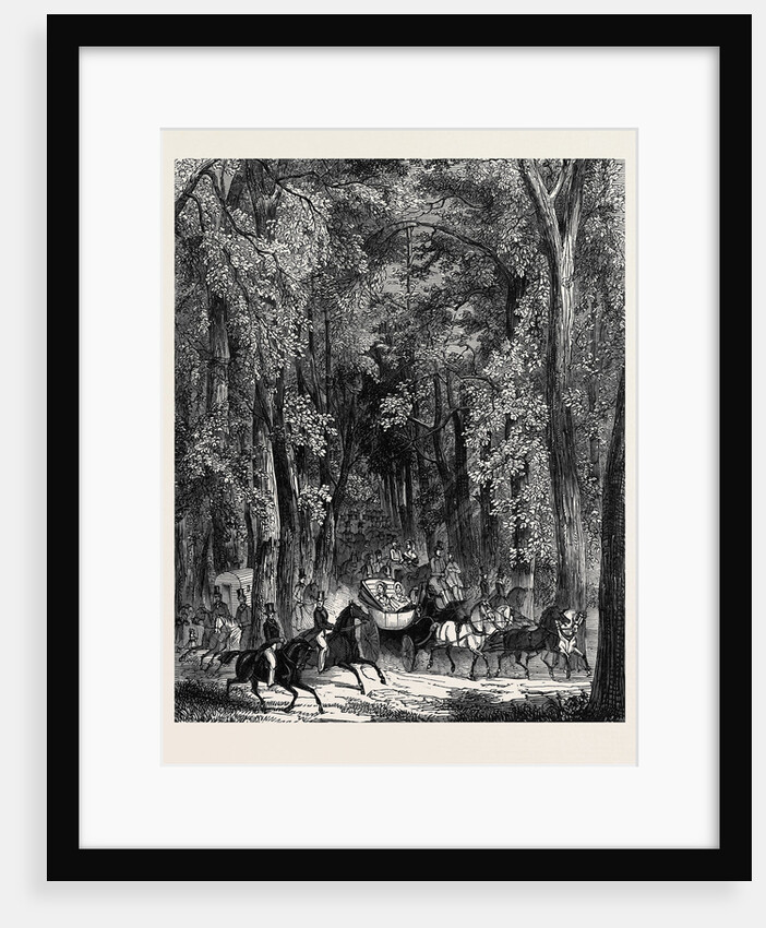 Road Through Goodwood Park. by Anonymous