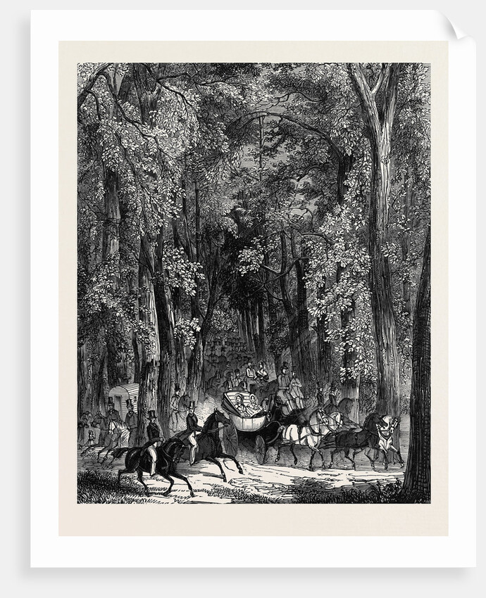 Road Through Goodwood Park. by Anonymous