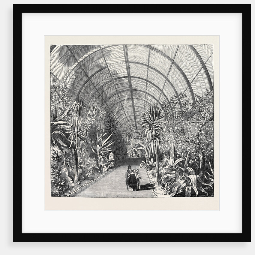 The Great Chatsworth Conservatory: The Interior, from the Central Walk by Anonymous