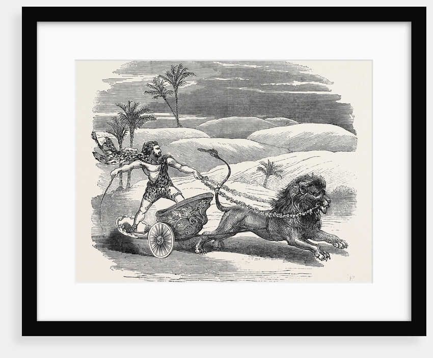 Carter's Lion Chariot Feat by Anonymous