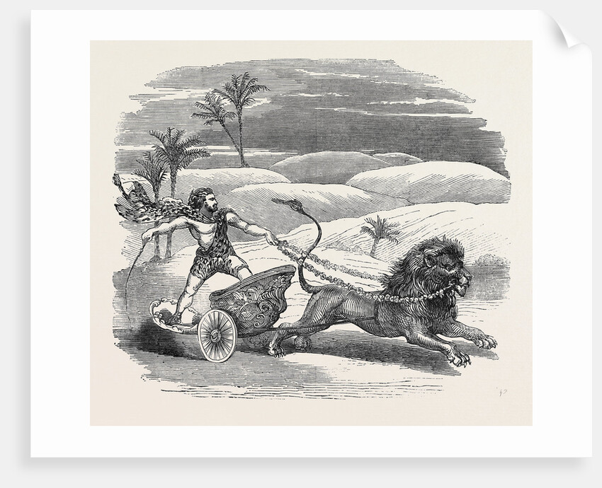 Carter's Lion Chariot Feat by Anonymous