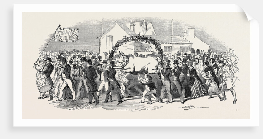 Procession of the Ox, at Buckingham by Anonymous