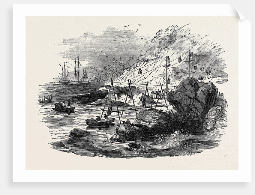Ichaboe, Mode of Shipping the Guano by Anonymous
