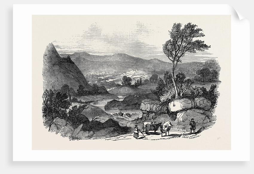 Blair Athol by Anonymous