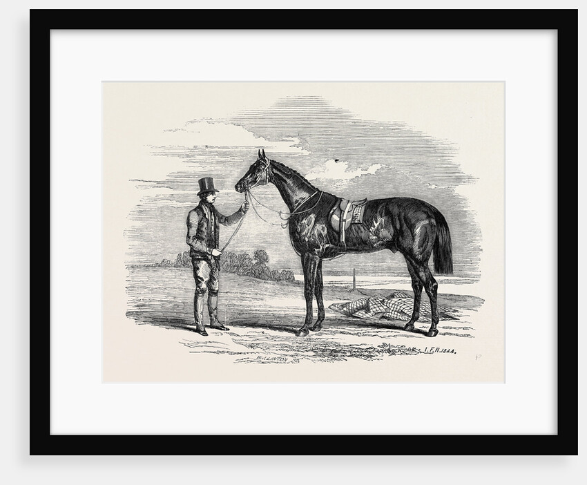 Foigh-a-Ballagh, the Winner of the Great St. Leger and Grand Duke Michael Stakes by Anonymous