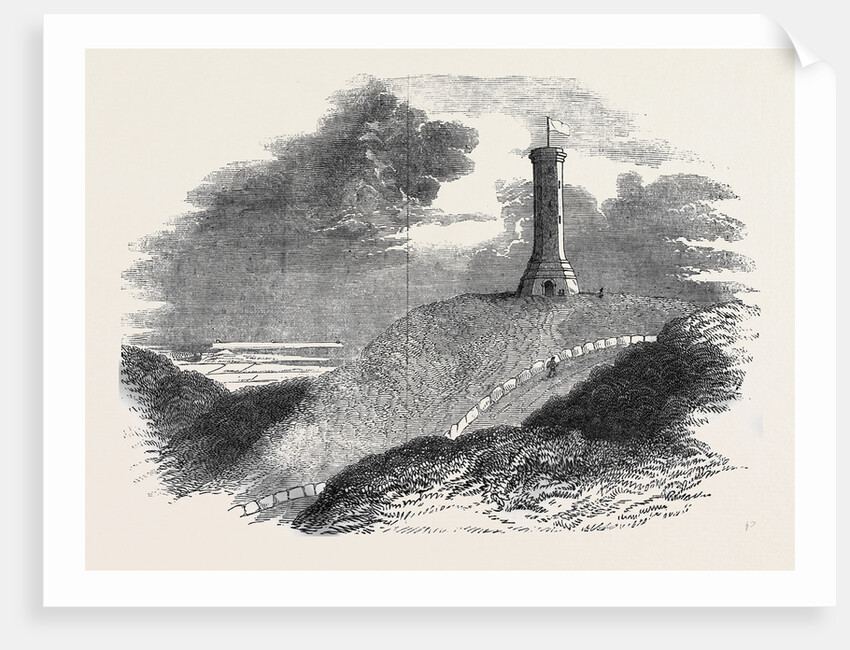 Monument to Admiral Sir Thomas Hardy, on Blagdon Hill by Anonymous