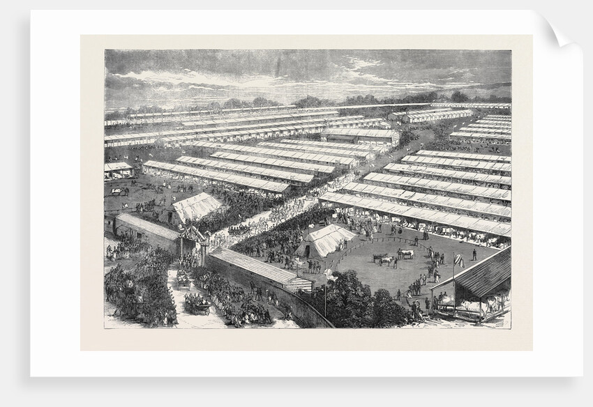 The Royal Visit to the Irish Agricultural Society's Show at Dublin 1871 by Anonymous