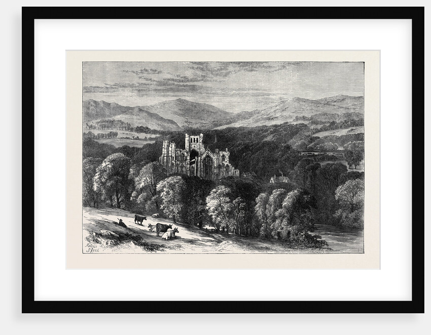 Melrose Abbey 1871 by Anonymous