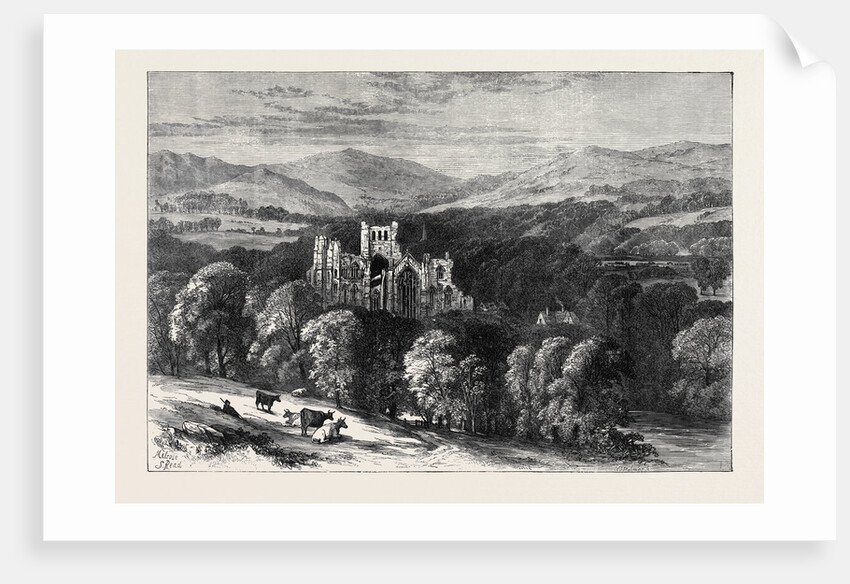 Melrose Abbey 1871 by Anonymous