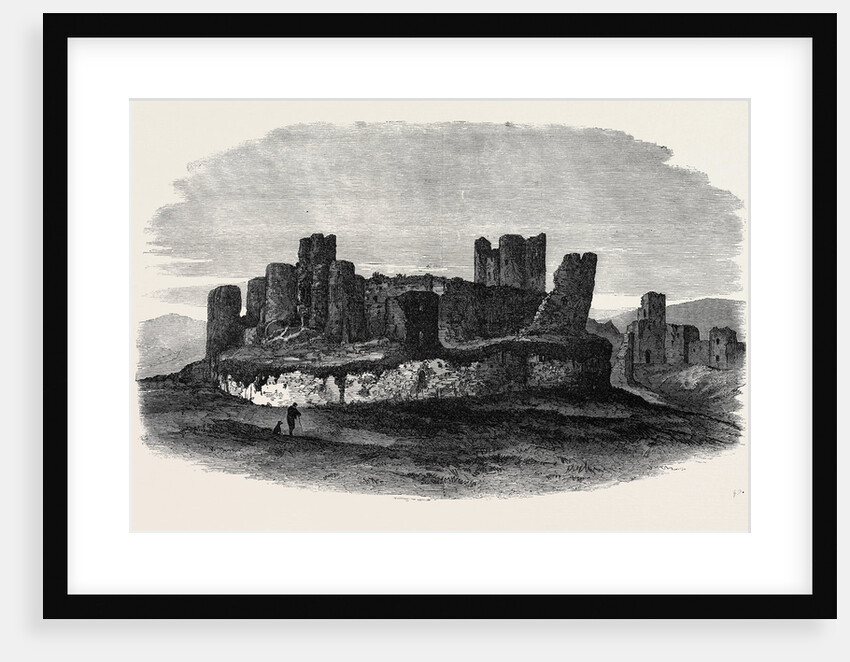 Royal Archaeological Institute in Wales: Caerphilly Castle 1871 by Anonymous