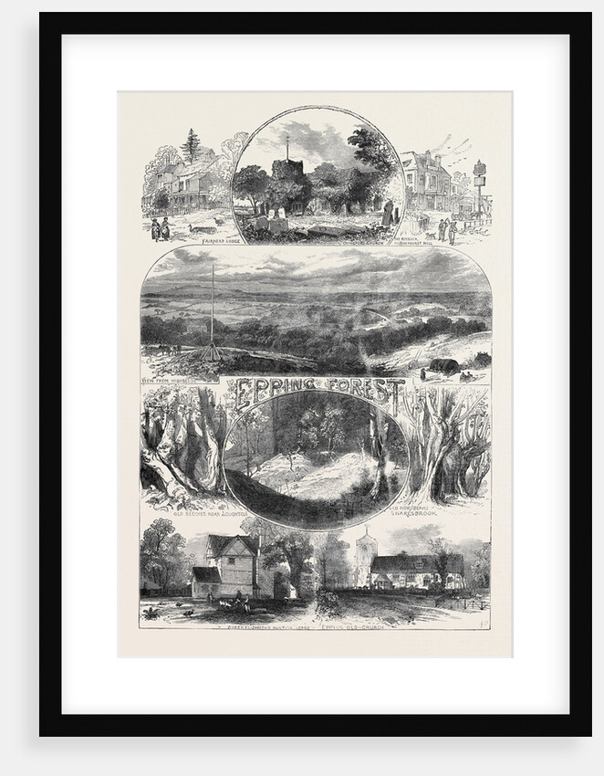 Sketches in Epping Forest 1871 by Anonymous