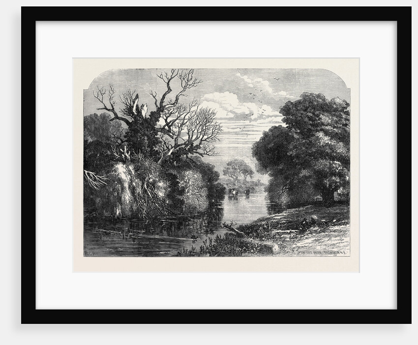 View in Tichborne Park Alresford Hants. 1871 by Anonymous