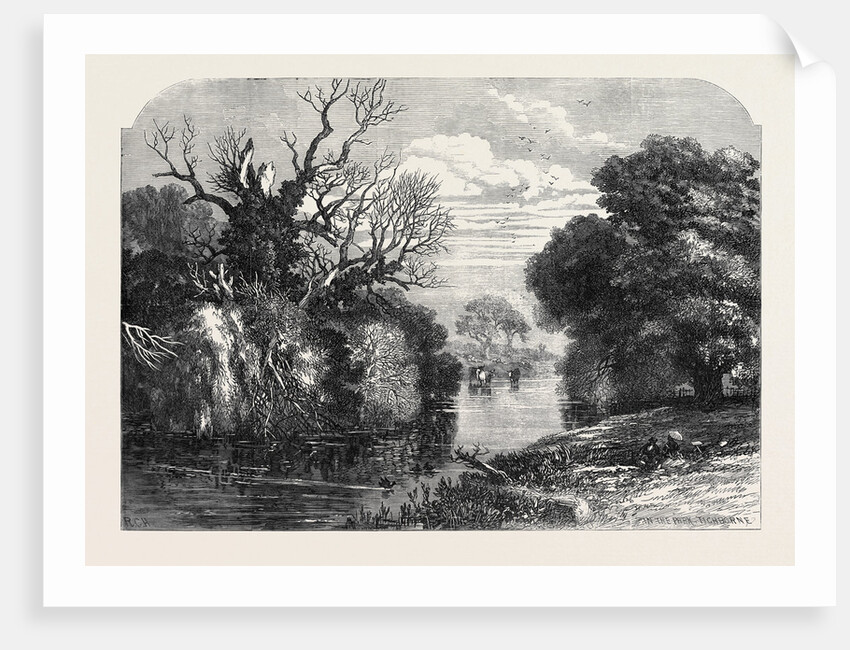 View in Tichborne Park Alresford Hants. 1871 by Anonymous