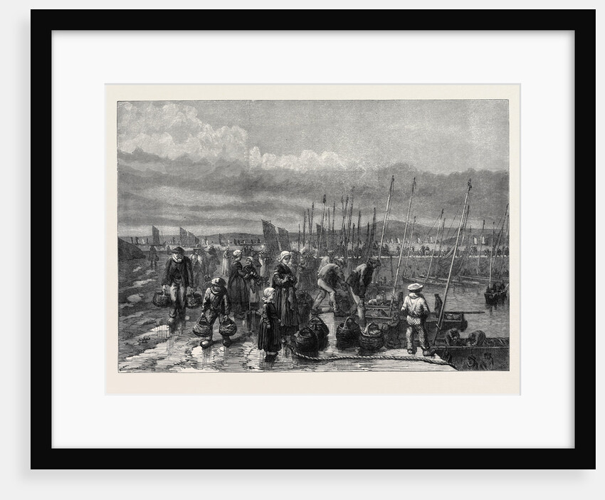 Sardine Fishery on the Coast of Brittany France 1871 by Anonymous