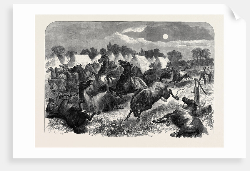 Stampede of Cavalry Horses at Aldershott Camp 1871 by Anonymous