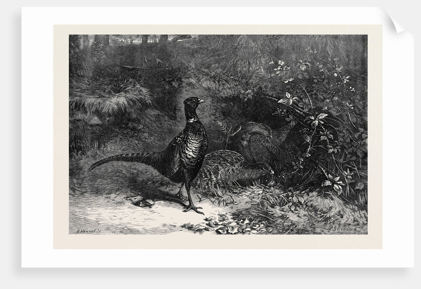 The Months: October by Anonymous