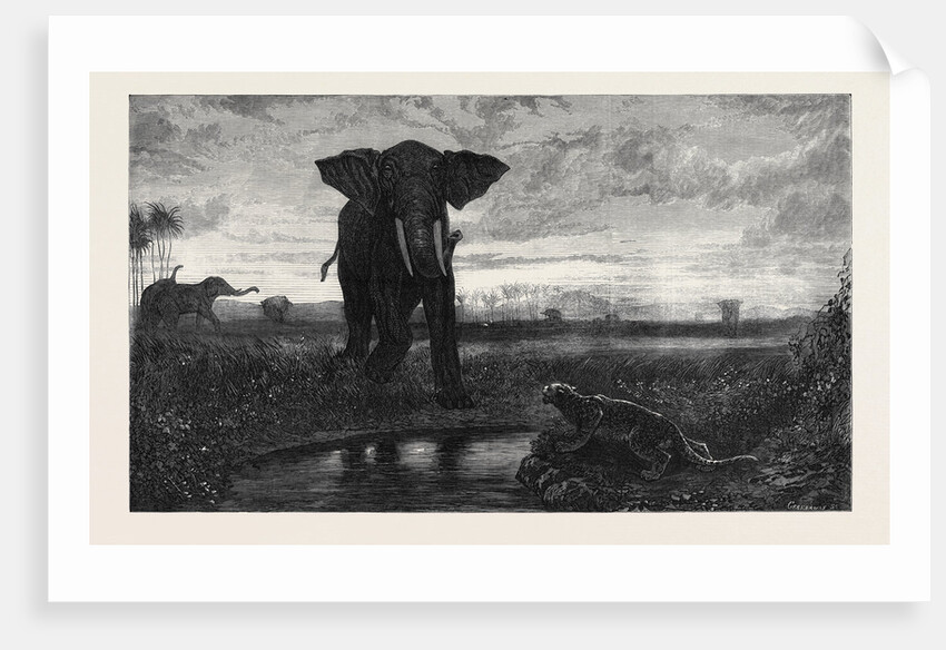 The Indian Desert 1871 by Anonymous