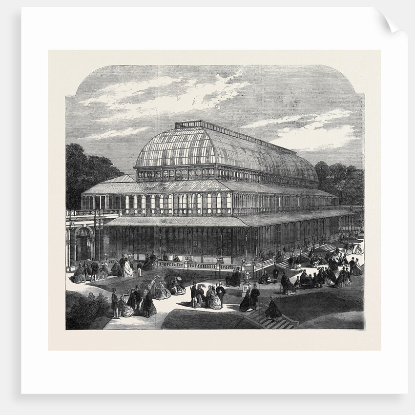 The Conservatory in the Royal Horticultural Society's Gardens South Kensington by Anonymous