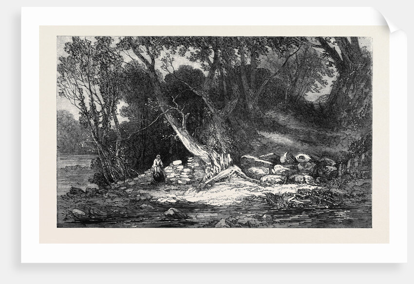 The Woodland Glade, from the Royal Academy Exhibition by Anonymous